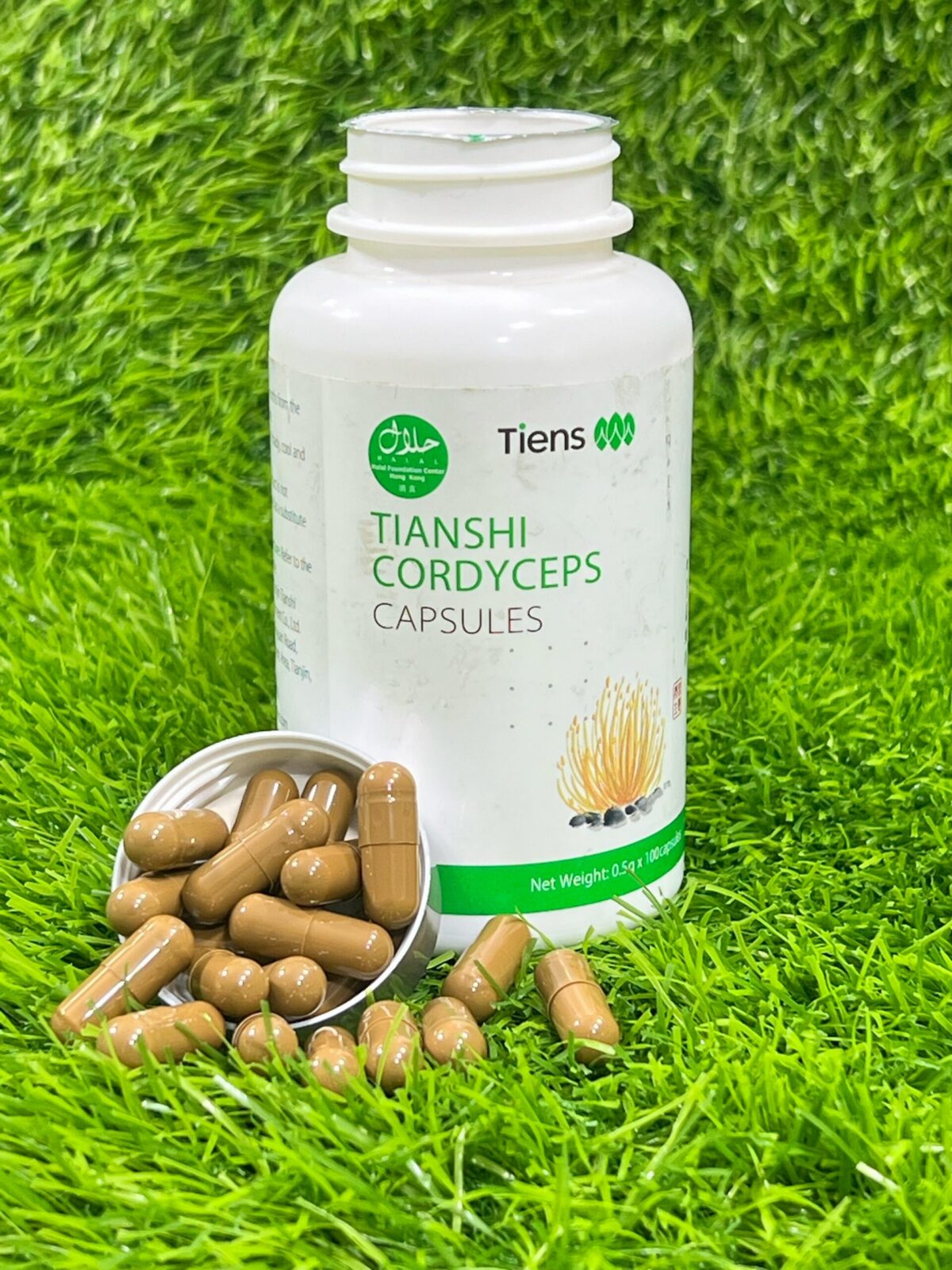 Tiens Product Cordyceps