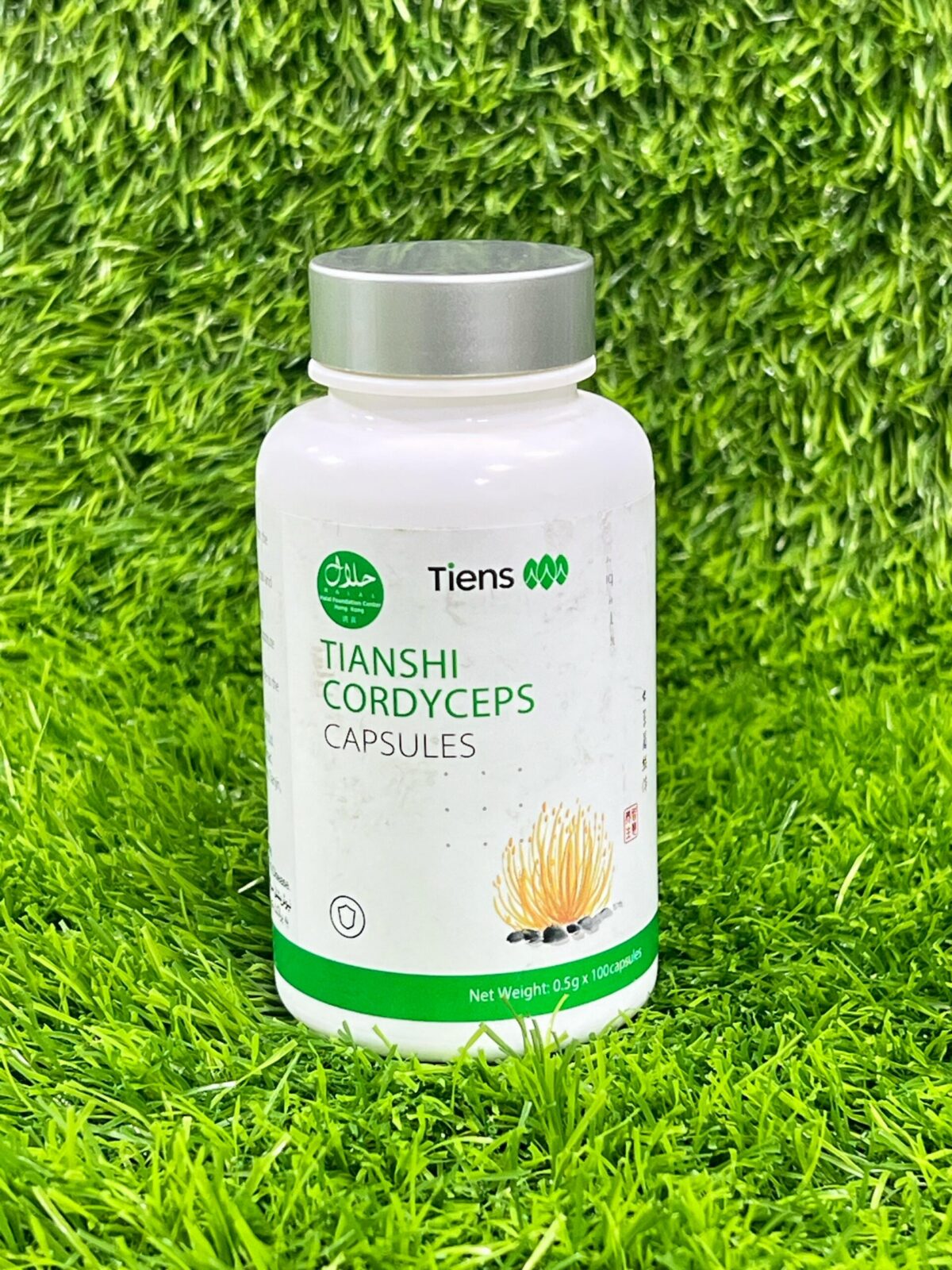 Tiens Product Cordyceps - Image 2