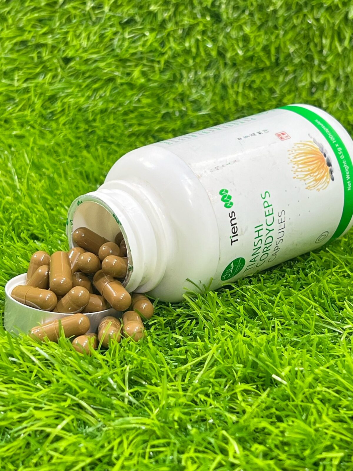 Tiens Product Cordyceps - Image 3